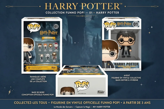 ⚡ Funko Pop! Harry Potter n°01 – HARRY POTTER ⚡